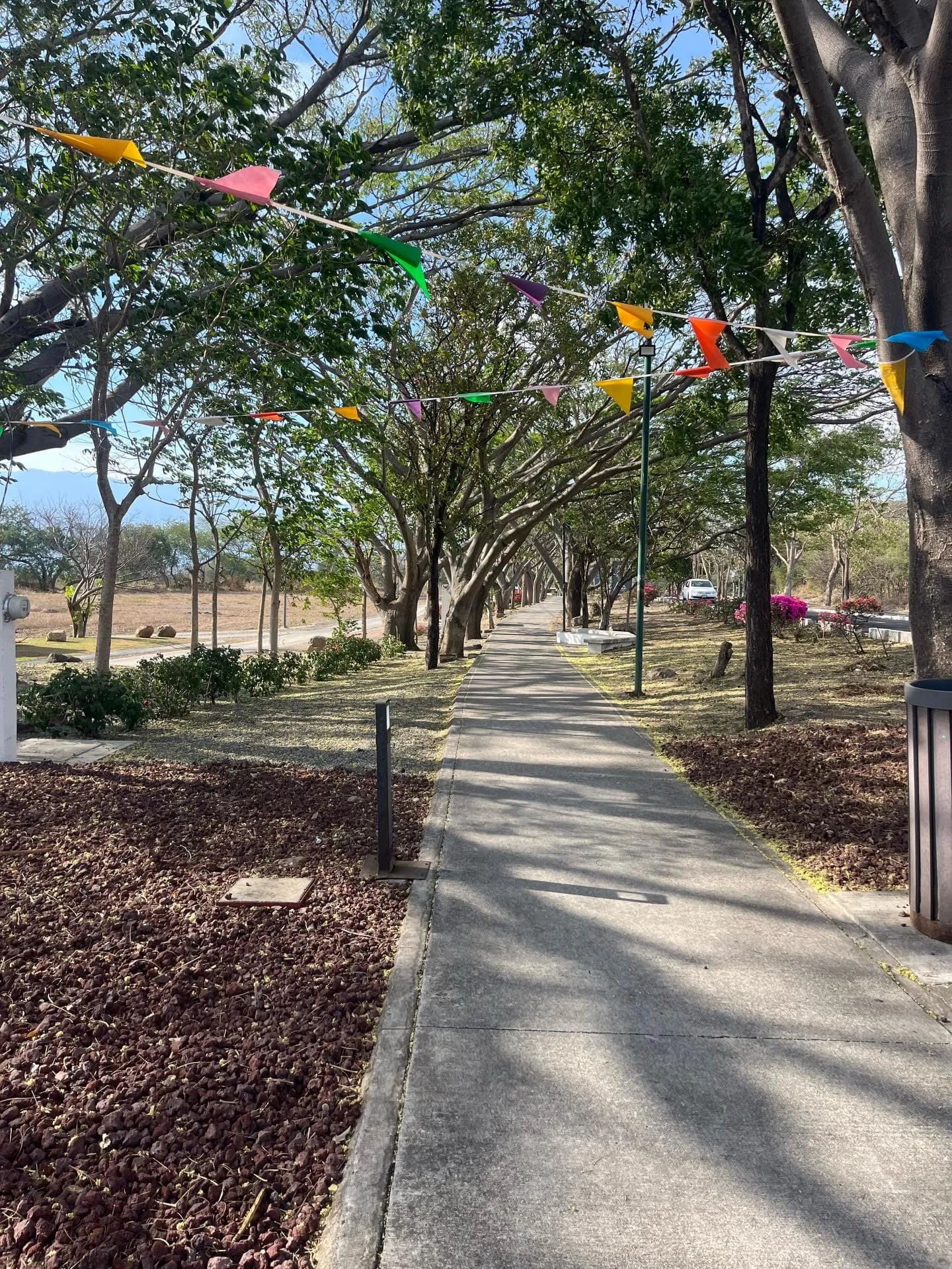 Zonas con mayor plusvalía Colima 2026 — Villa de Álvarez y Las Parotas